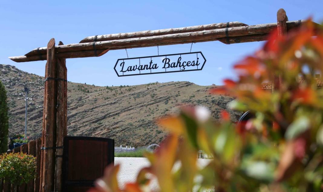 Konya’nın yeşiliyle ünlü ilçesi Meram’da yaz masala dönüşüyor 4